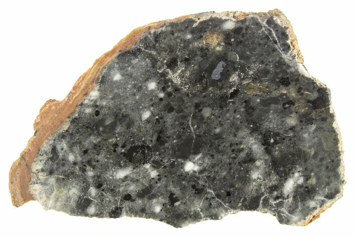 Polished Lunar Meteorite Slice ( g) - NWA #263232